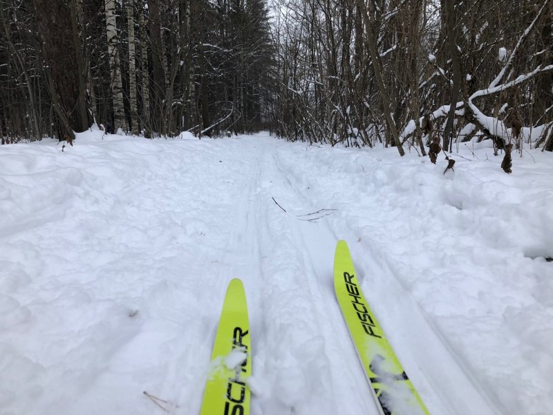 Лыжные трассы вблизи стадиона «Локомотив» улучшат для занятий спортом вологжан