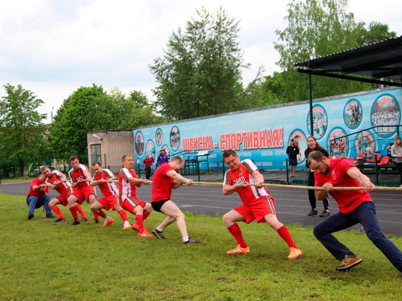 Не менее 250 спортсменов региона будут участвовать в спортивных играх «Вологодские зори»